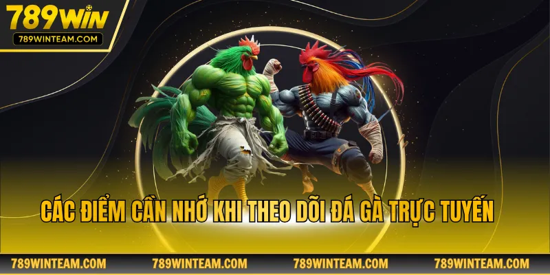 Các điểm cần nhớ khi theo dõi đá gà trực tuyến